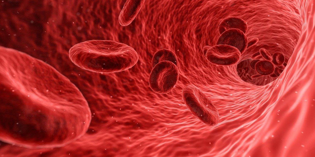 How to stop bleeding