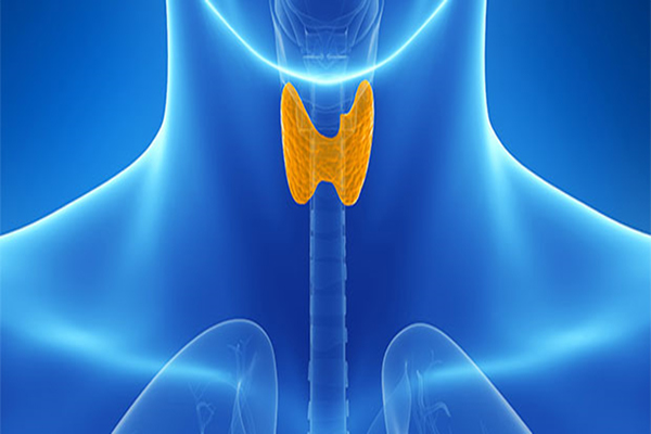 COMMON THYROID DISORDERS