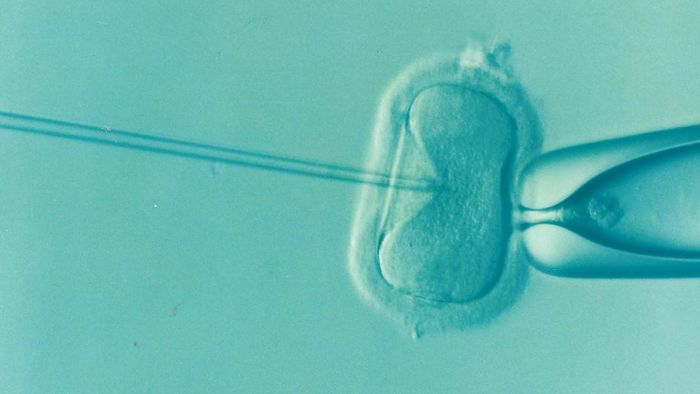 INFERTILITY AND ITS MAJOR CAUSES AND TREATMENTS