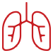 Respiratory Medicine 