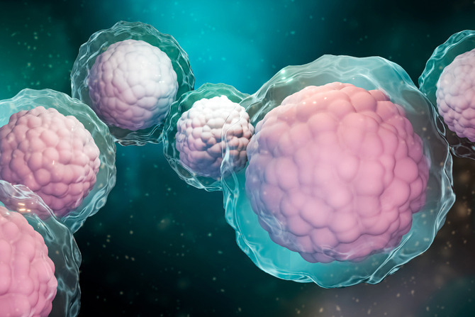 Two allogeneic stem cell transplants performed successfully in Kerala