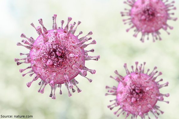 Top 10 queries on Coronaviruses (COVID-19)