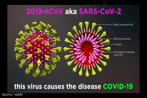COVID vs. SARS - KIMSHEALTH Riyadh