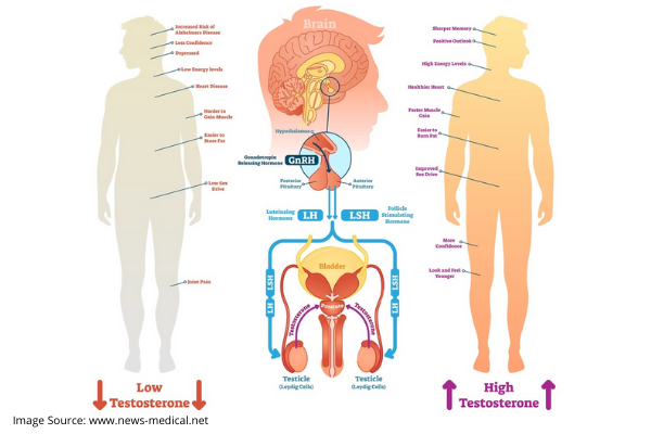 NATURAL TESTOSTERONE REPLACEMENT THERAPY