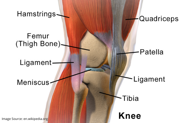 arthroscopy knee surgery