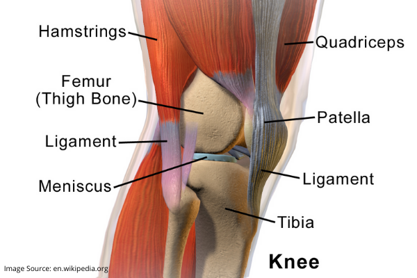 IS ARTHROSCOPIC KNEE SURGERY USEFUL