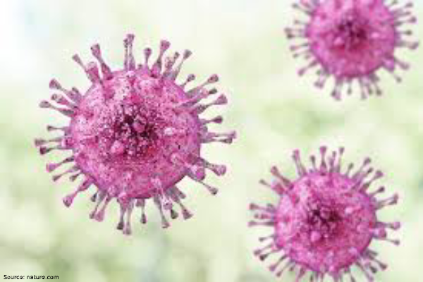 Top 10 queries on Coronaviruses (COVID-19)