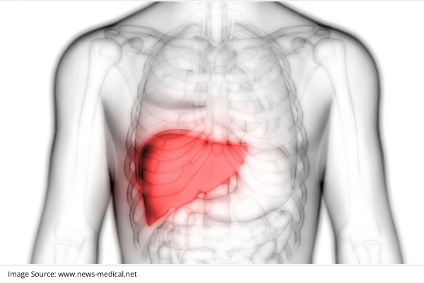 liver cancer treatment options