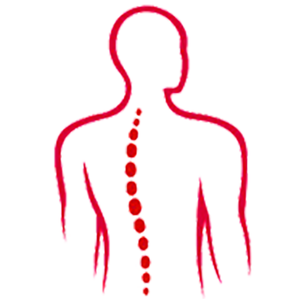 Spine Surgery Department