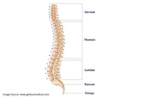 EXERCISES FOR RECOVERY AFTER SPINAL SURGERY