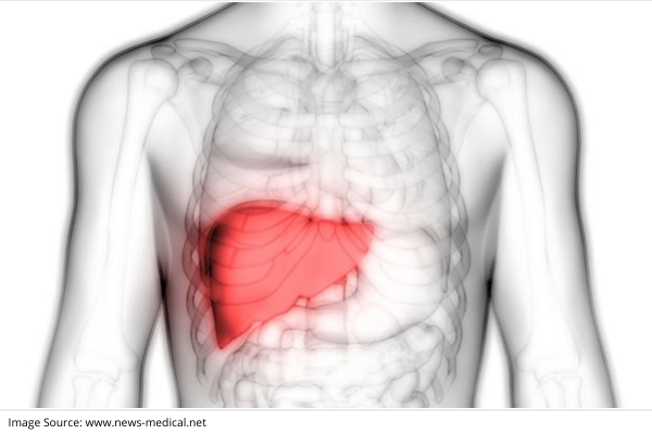 LIVER & LIVER DISEASES: KNOW THE FACTS