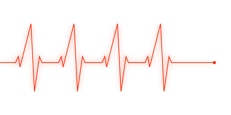 THE FETAL ECHOCARDIOGRAM PROCEDURE