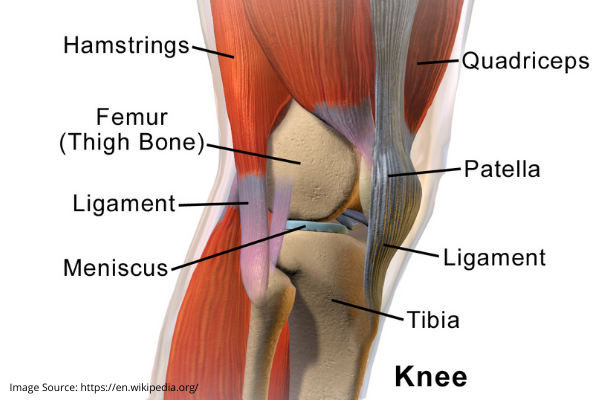 ALL ABOUT KNEE REPLACEMENT